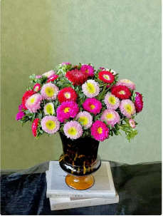 翠菊