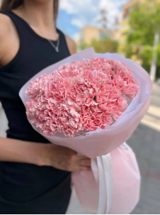 carnation light pink