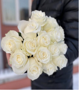 rose white