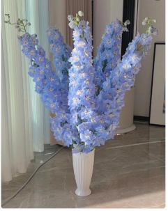 Delphinium