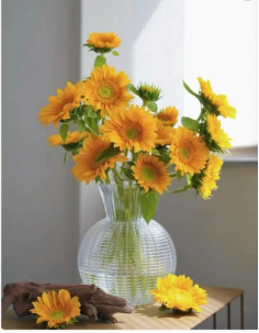 Helianthus