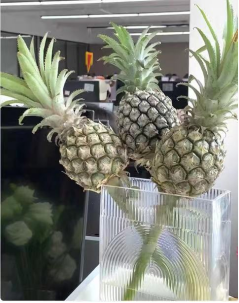 Pineapple